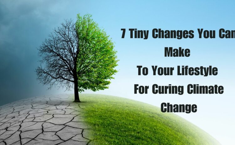 7 Tiny Changes You Can Make To Your Lifestyle For Curing Climate Change