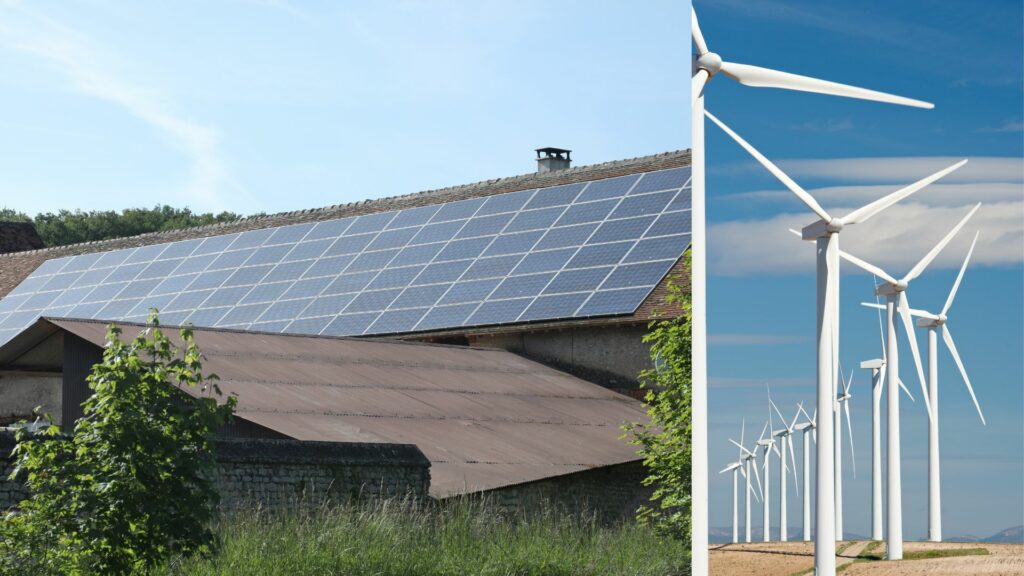 Use renewable sources of energy like solar and wind energy to preserve our planet.